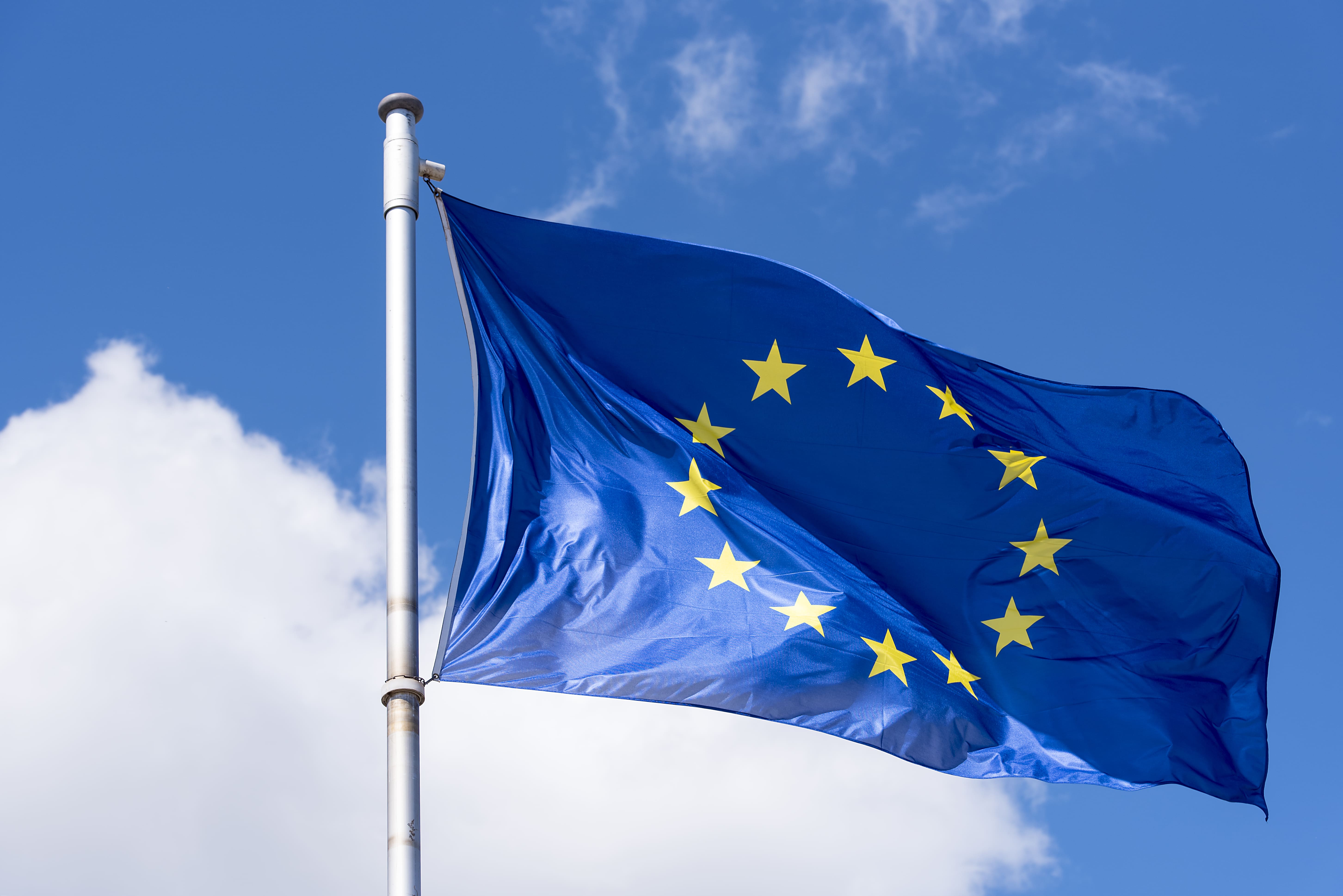 Umgang mit Recht auf Auskunft wird kontrolliert – europaweit